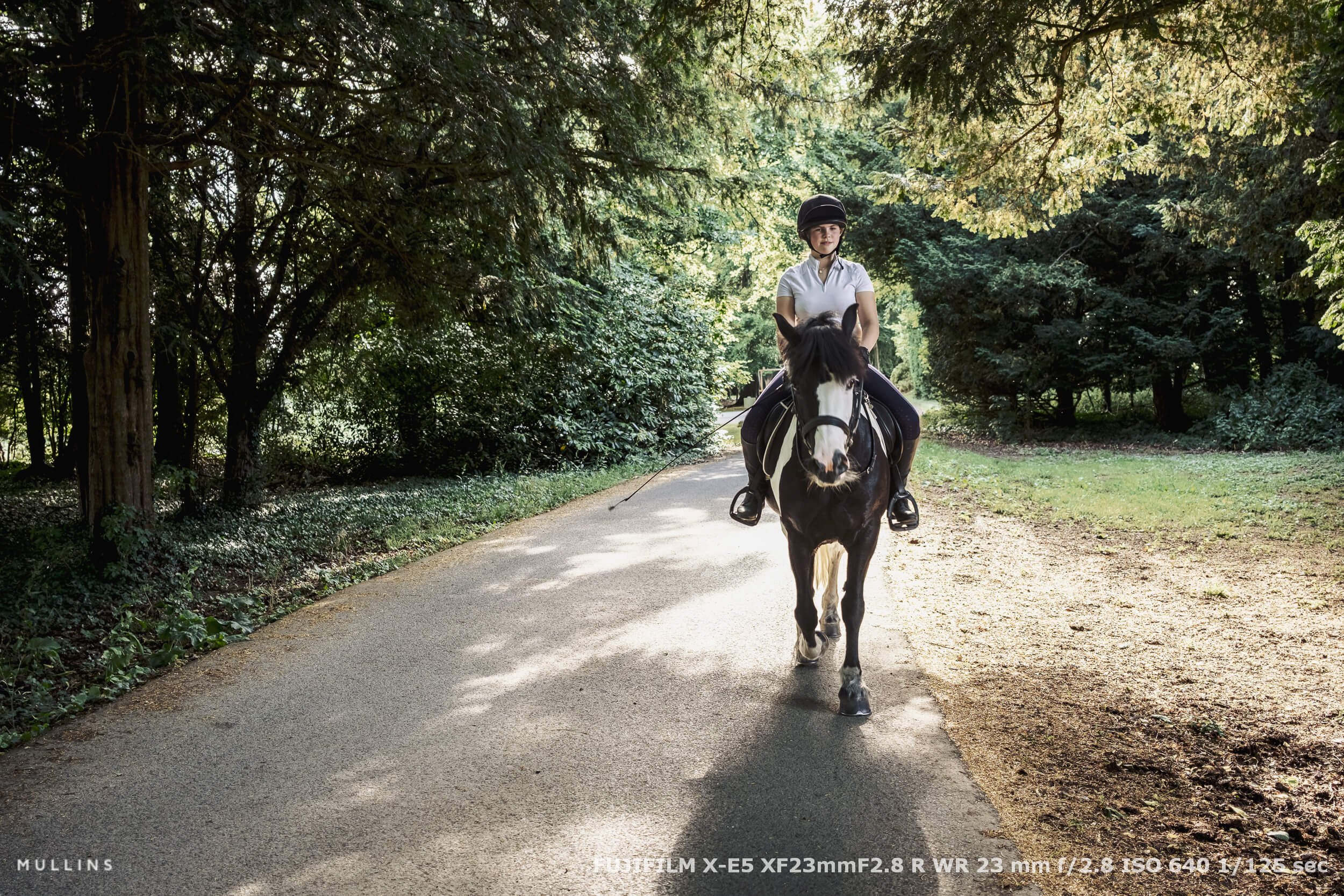 fujifilm-x-e5-sample-photos-16.jpg