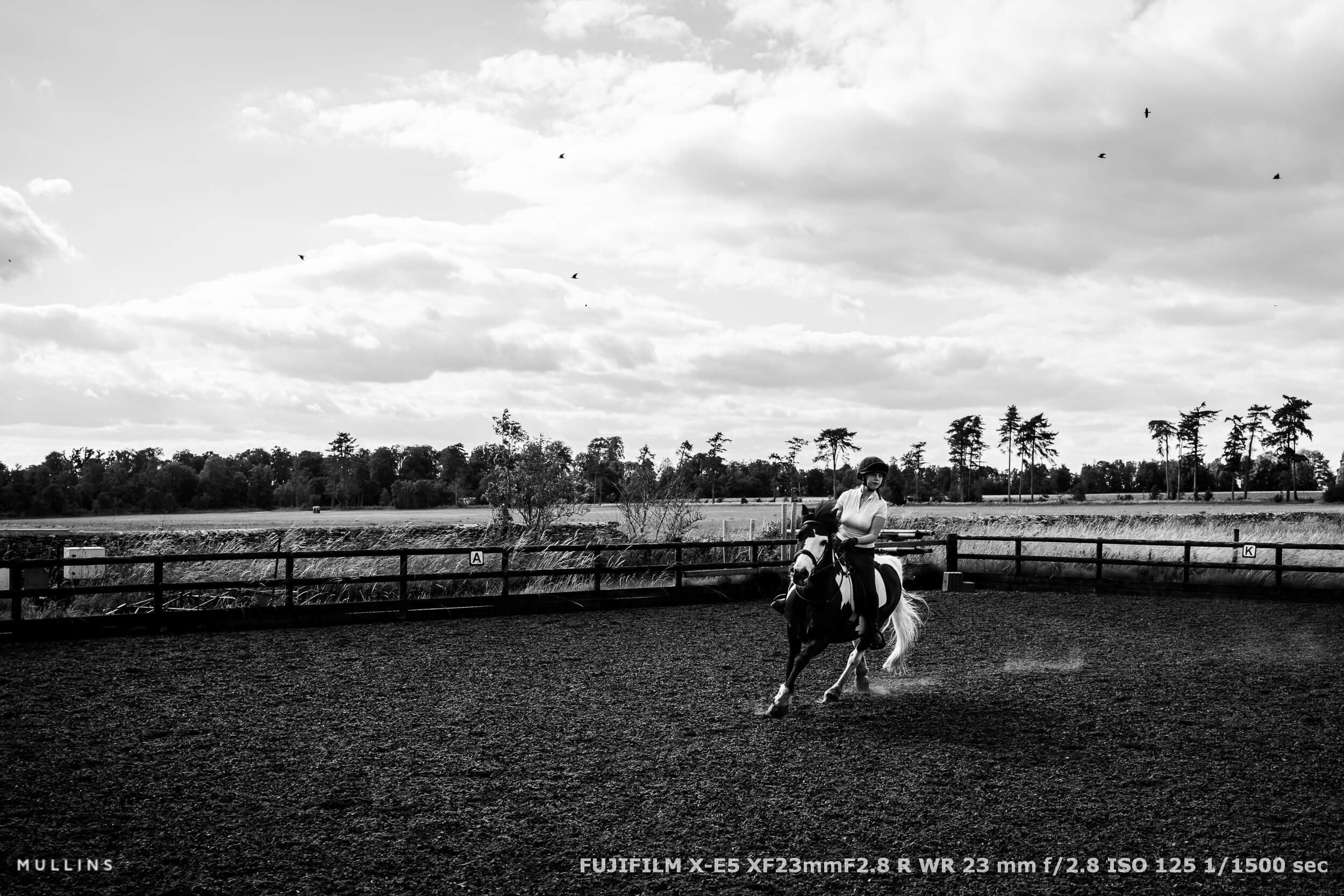 fujifilm-x-e5-sample-photos-22.jpg