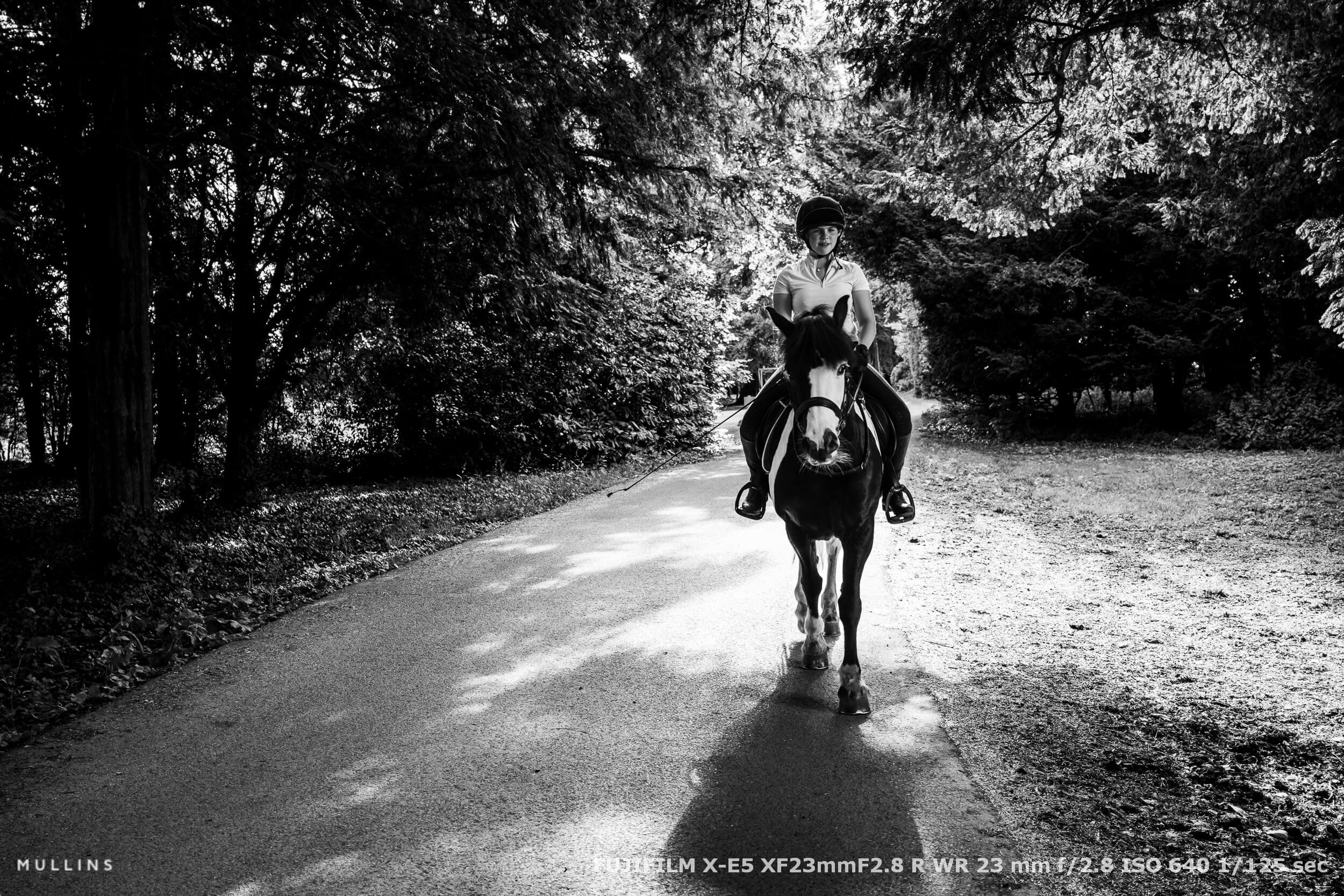 fujifilm-x-e5-sample-photos-31.jpg
