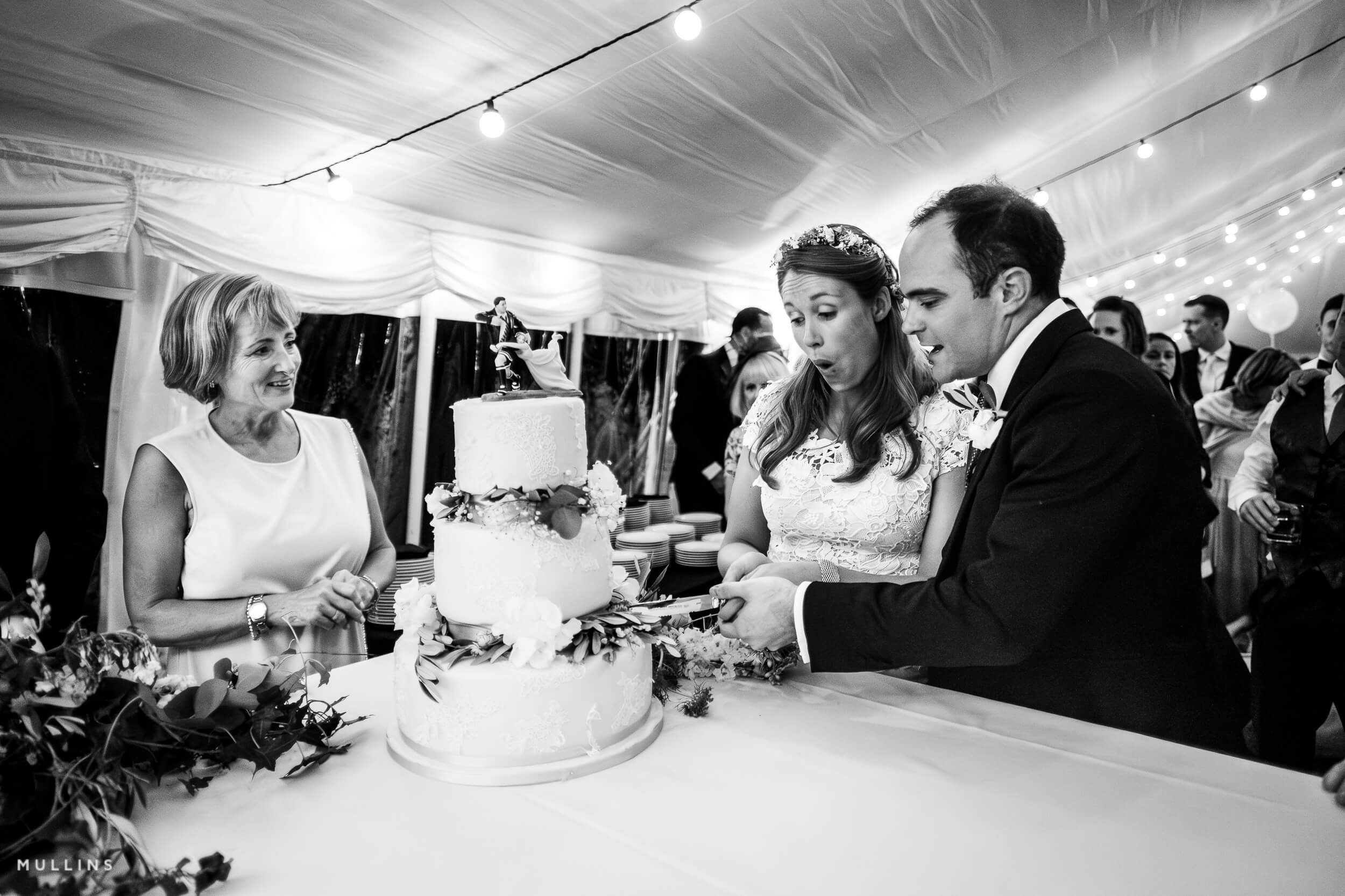 marquee-wedding-west-sussex-documentary-photography-98.jpg